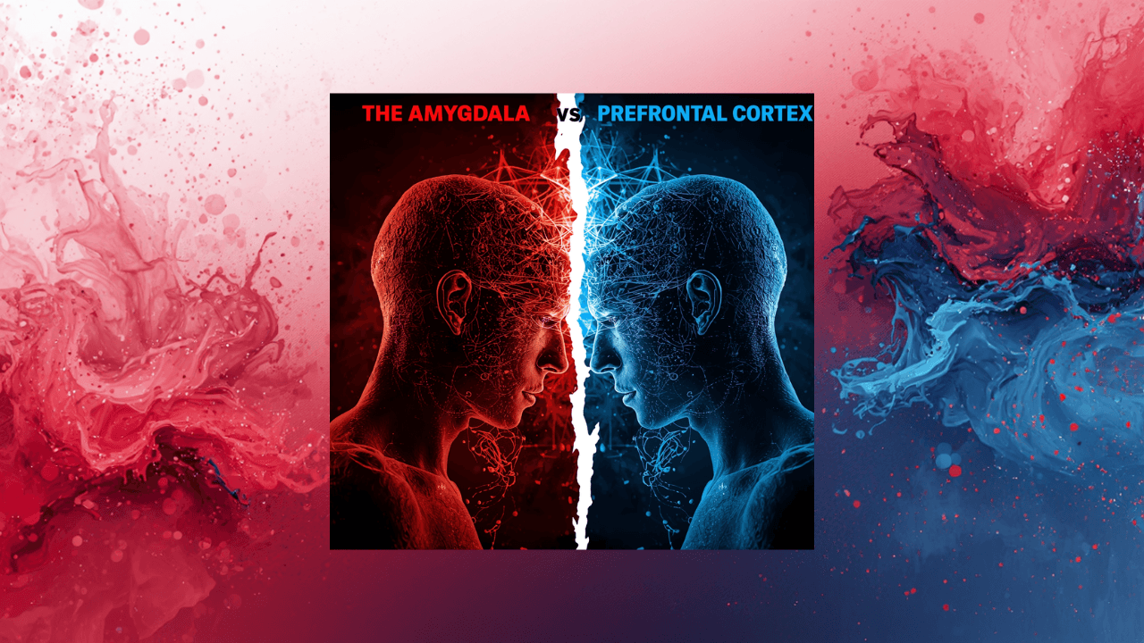 Amygdala vs Prefrontal Cortex — how the brain's emotional and logical centers battle during a live trade
